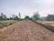YEIDA Individual Residential Plots Internal Roads 2