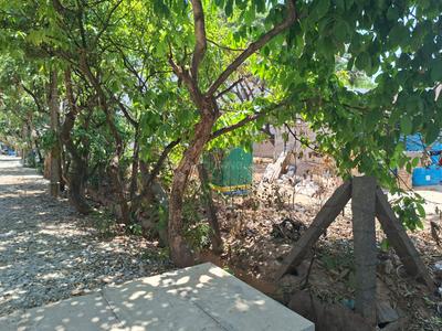 Rachenahalli Plot View 3