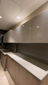 Kitchen Image of 4700 Sq.ft 4 BHK Apartment / Flat for sale in Gulshan Dynasty, Sector 144 Noida for Rs. 110000000