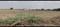 Individual Plot Plot View 2