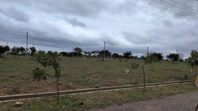 Bhugatahally Plot View 1