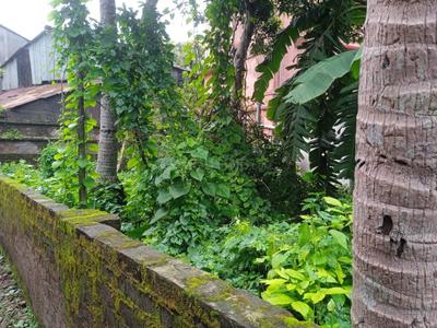 Jagadishpur Plot View 1