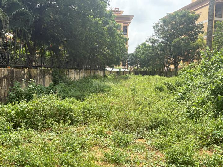 pahala bhubaneswar Main Image 1