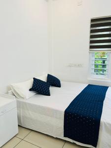 Bedroom Image of 600 Sq.ft 1 BHK Apartment / Flat for rent in Edappally Kochi for Rs. 20000