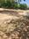 surbhit vatika shela Main Image 1