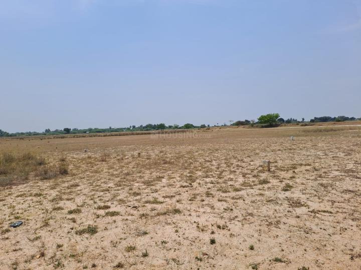 Acharapakkam Main Image 1