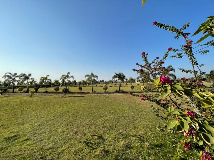 Aranya City Of Woodland Main Image 1