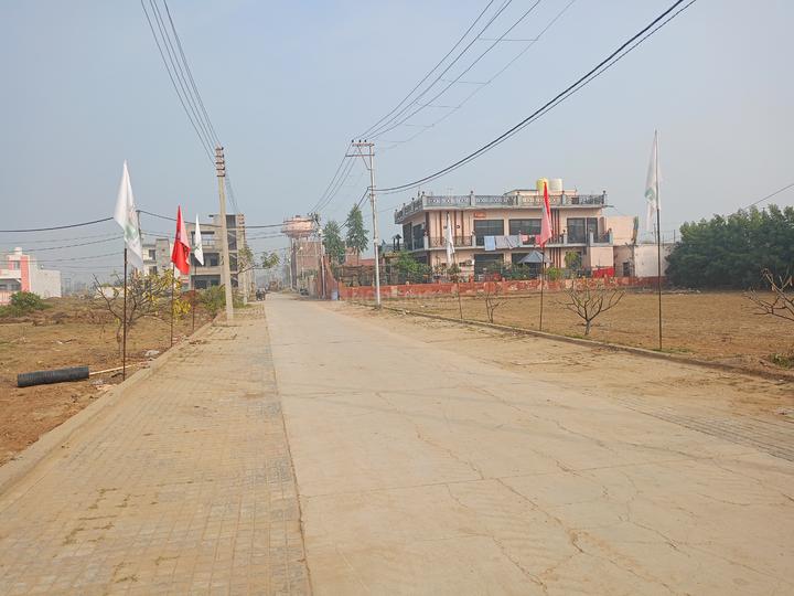 Shri Vrinda Orchid Society Main Image 1