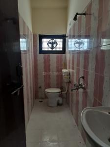 Bathroom Image of 1200 Sq.ft 2 BHK Independent House for rent in Madhav Nagar Katni for Rs. 8500
