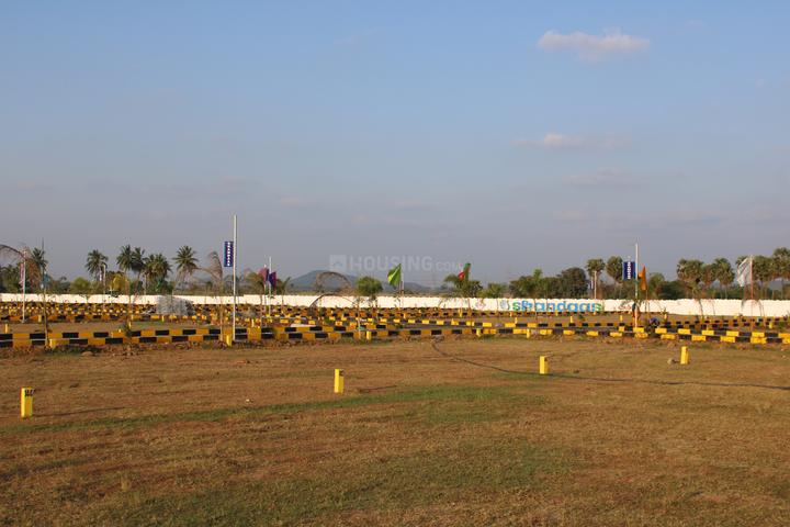 skandaas Main Image 1