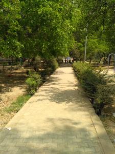 Image of 800 Sq.ft 2 BHK Apartment / Flat for rent in Sahyog Apartments, Pitampura, New Delhi for Rs. 22000