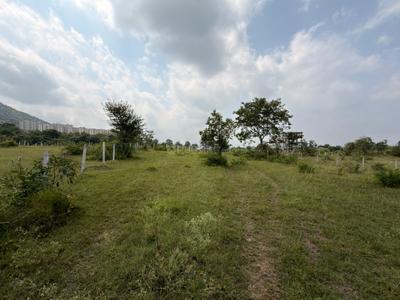 Residential Plot