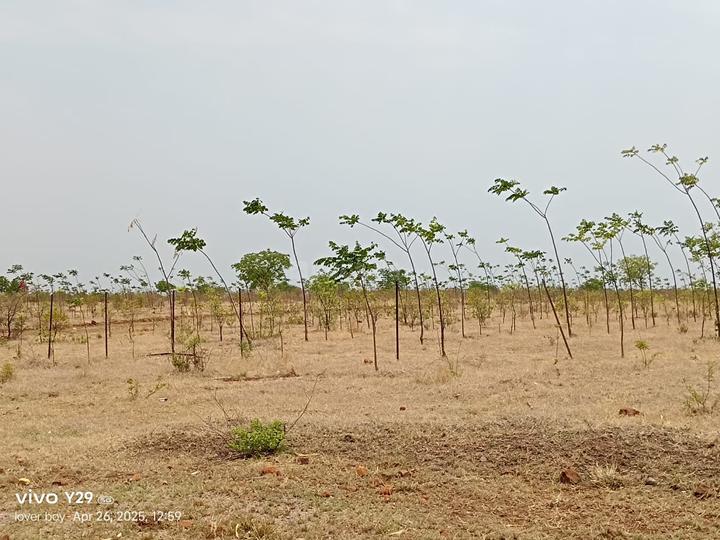 Narayankhed Main Image 1