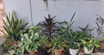 Image of 1050 Sq.ft 2 BHK Independent House for sale in Rana Pratap Nagar, Solapur for Rs. 9500000