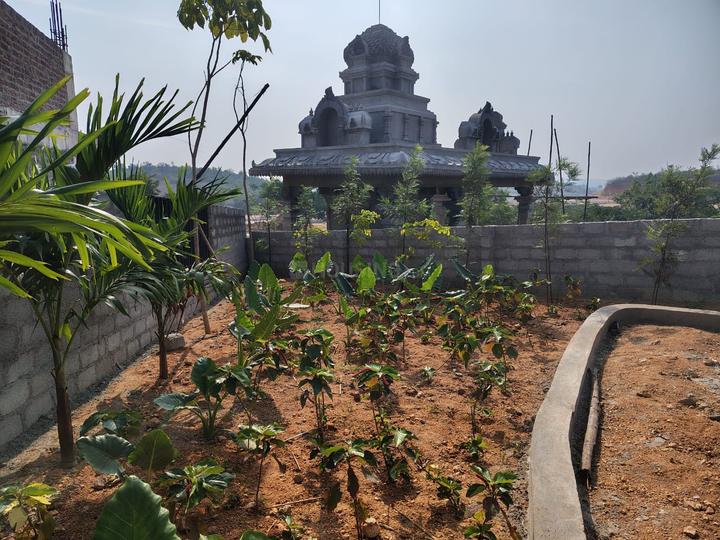 Sandohas Coorg Estates Main Image 1