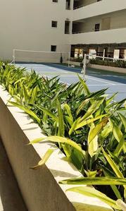 Image of 1171 Sq.ft 2 BHK Apartment / Flat for sale in Praneeth Pranav Daffodils, Mallampet, Sangareddy for Rs. 8200000