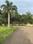Chandsi plots Plot View 2