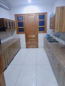 Kitchen Image of 1750 Sq.ft 3 BHK Builder Floor for rent in Sector 21 Chandigarh for Rs. 55000