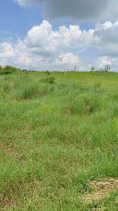 Image of 4840 Sq.ft Residential Plot / Land for sale in Mominpet, Hyderabad for Rs. 7500000