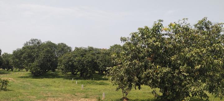 New Vellanur Main Image 1