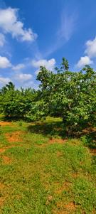 Image of 87120 Sq.ft Residential Plot / Land for sale in Kandukur, Hyderabad for Rs. 37000000