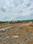 Castilo city primium Na bunglow plot Main Image 1