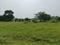 Oragadam Industrial Corridor Plot View 2