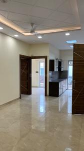 Hall Image of 1200 Sq.ft 2.5 BHK Independent House for rent in Sector 36 Noida for Rs. 50000