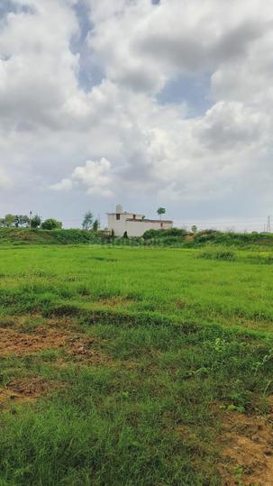 Masaurhi Main Image 1