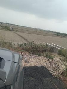 Sector 144 Plot View 2