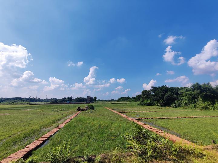 Trisulia Main Image 1