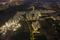 Khodiyar, Vaishno Devi Circle Main Image 1