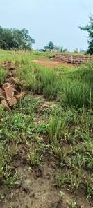 Image of 2200 Sq.ft Residential Plot / Land for sale in Jatni, Bhubaneswar for Rs. 6600000