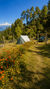 Image of 300 Sq.ft Residential Plot / Land for sale in Kanyura, Almora for Rs. 2500000