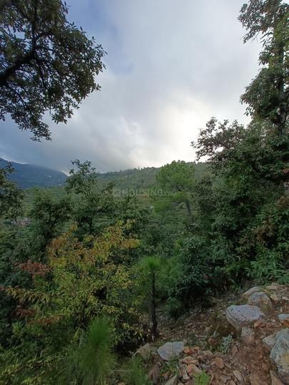 Mukteshwar Main Image 1
