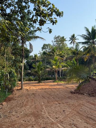 Chamkkada Main Image 1