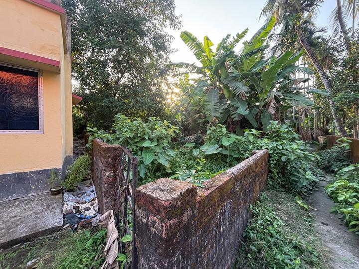 Natunpara Main Image 1
