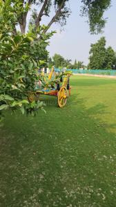 Image of 9072 Sq.ft Residential Plot / Land for sale in Dkrrish Green Beauty Farms, Sector 135, Noida for Rs. 8000000