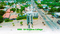 RR Oak Tree Main Image 1