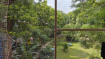 Balcony Image of 1800 Sq.ft 3 BHK Builder Floor for sale in Kalyan Vihar New Delhi for Rs. 22500000