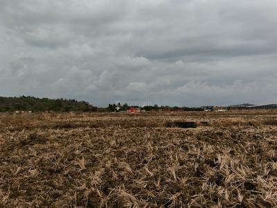 Residential Plot
