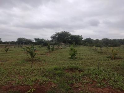 Image of 21780 Sq.ft Residential Plot / Land for sale in Shoolagiri, Krishnagiri for Rs. 3500000