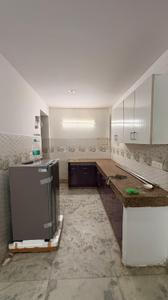 Kitchen Image of 2500 Sq.ft 2 BHK Builder Floor for rent in Sector 51 Gurgaon for Rs. 42000