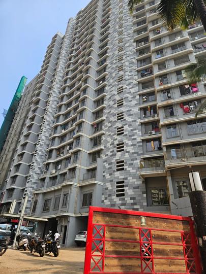 DP Star Main Image 1