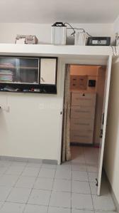 Balcony Image of 1120 Sq.ft 2 BHK Apartment / Flat for rent in Springfields Apartment, Kothrud Pune for Rs. 50000