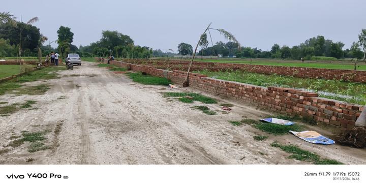 Salauli Main Image 1