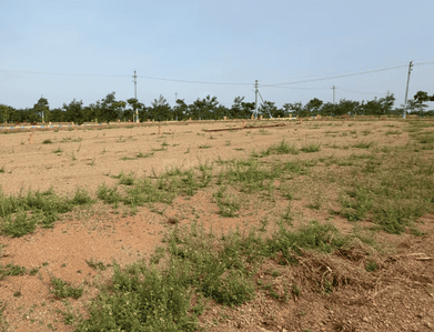 Image of 1332 Sq.ft Residential Plot / Land for sale in Mucherla, Hyderabad for Rs. 2367582