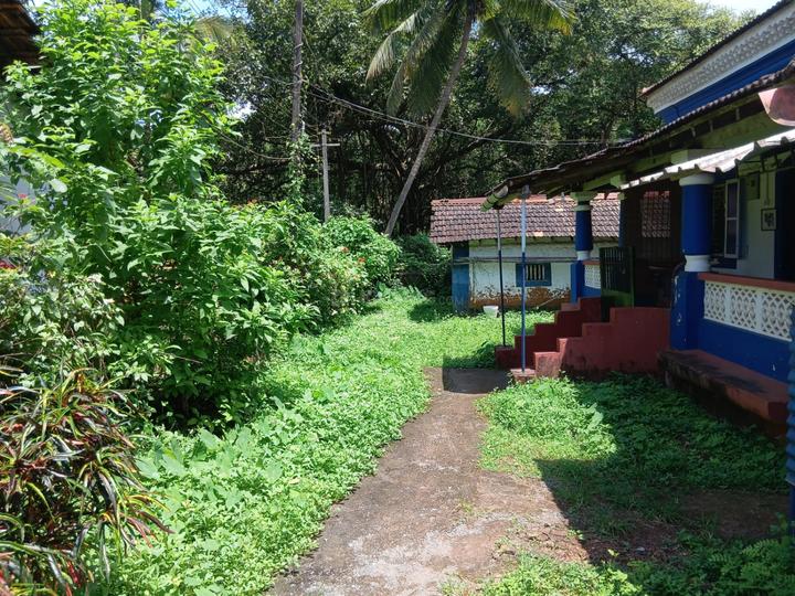 Mazal Waddo, Anjuna Main Image 1