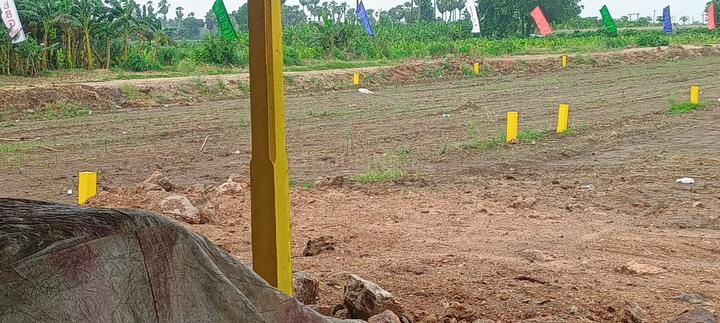 Kankipadu Main Image 1