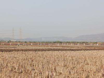 Palaspa Plot View 1